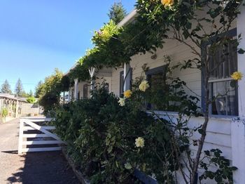 Tongariro Crossing Lodge *
